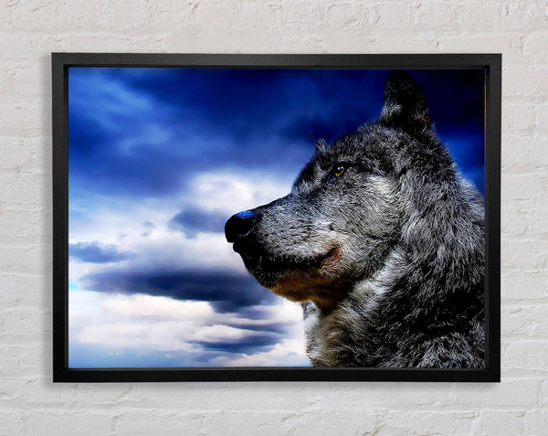 Wolf Skies Framed Print
