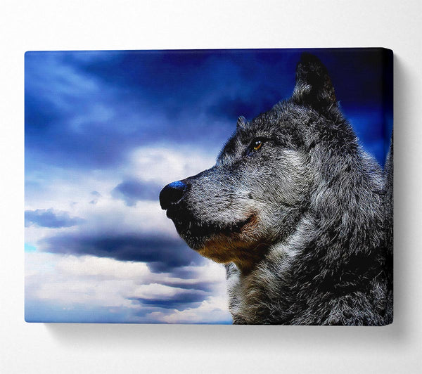  A Canvas Print of Wolf Skies Canvas Print