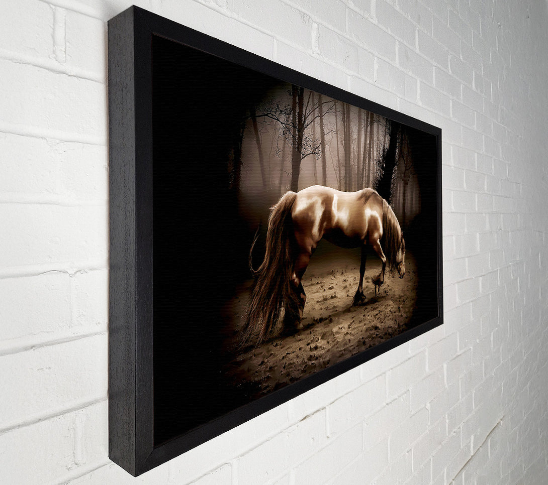  A Canvas Print of Woodland Horse Canvas Print