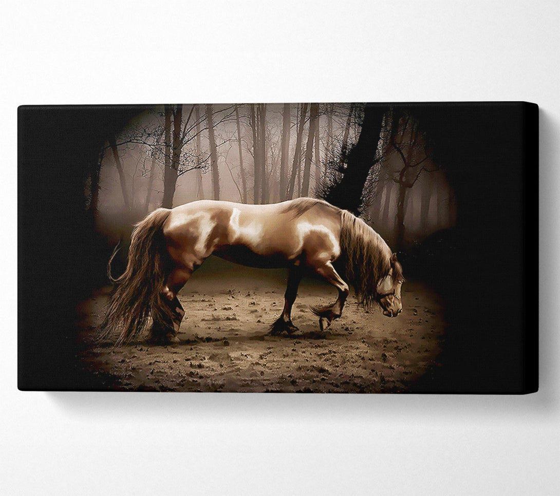  A Canvas Print of Woodland Horse Canvas Print