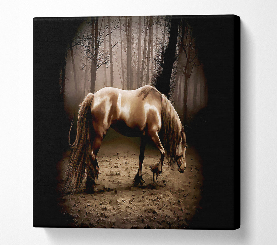  A Canvas Print of Woodland Horse Canvas Print