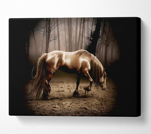  A Canvas Print of Woodland Horse Canvas Print