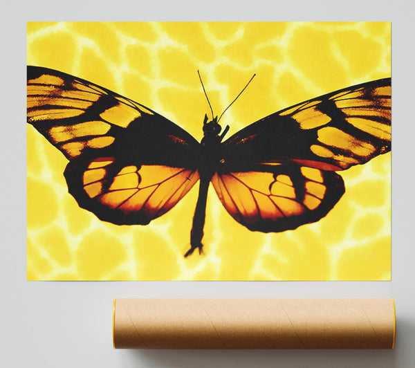 Yellow Butterfly Wings Poster
