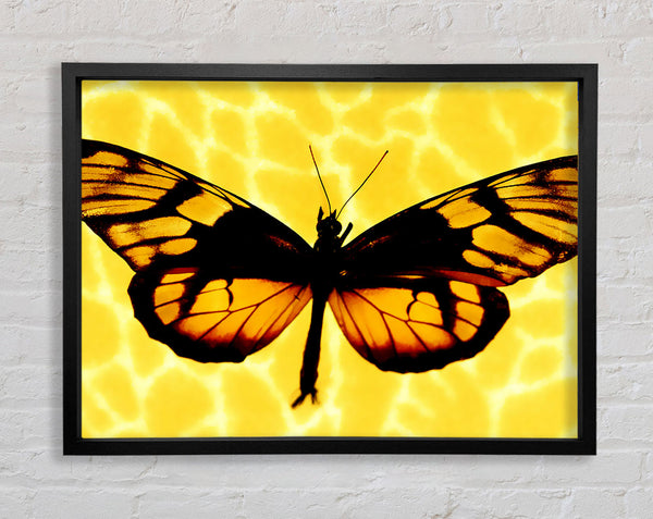 Yellow Butterfly Wings Framed Print