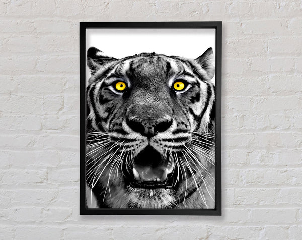 Yellow Tiger Eyes Framed Print