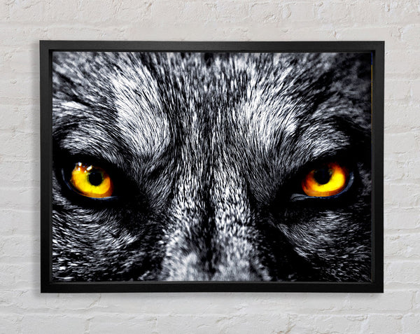 Yellow Wolf Eyes Framed Print