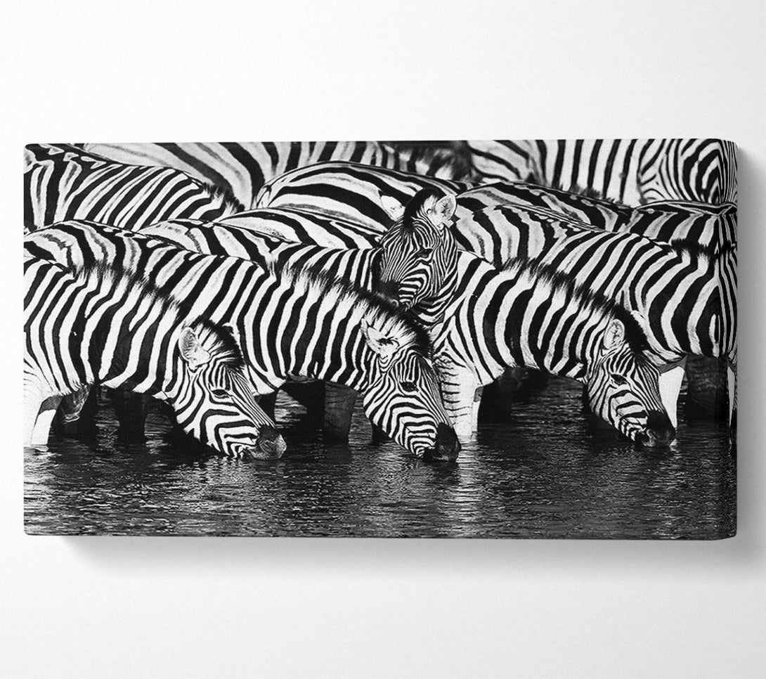  A Canvas Print of Zebra Drinking Canvas Art