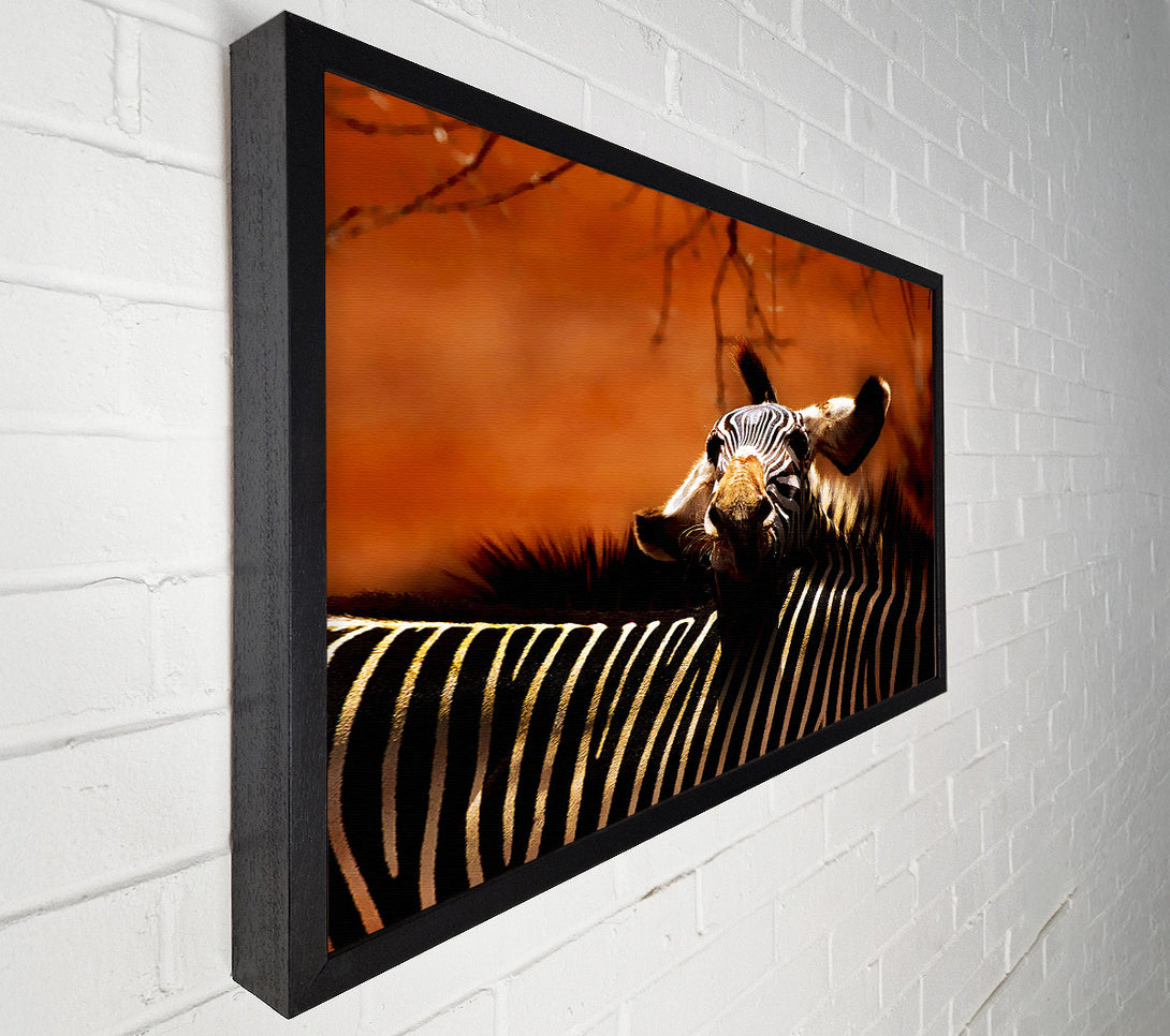  A Canvas Print of Zebra Family Love Canvas Art
