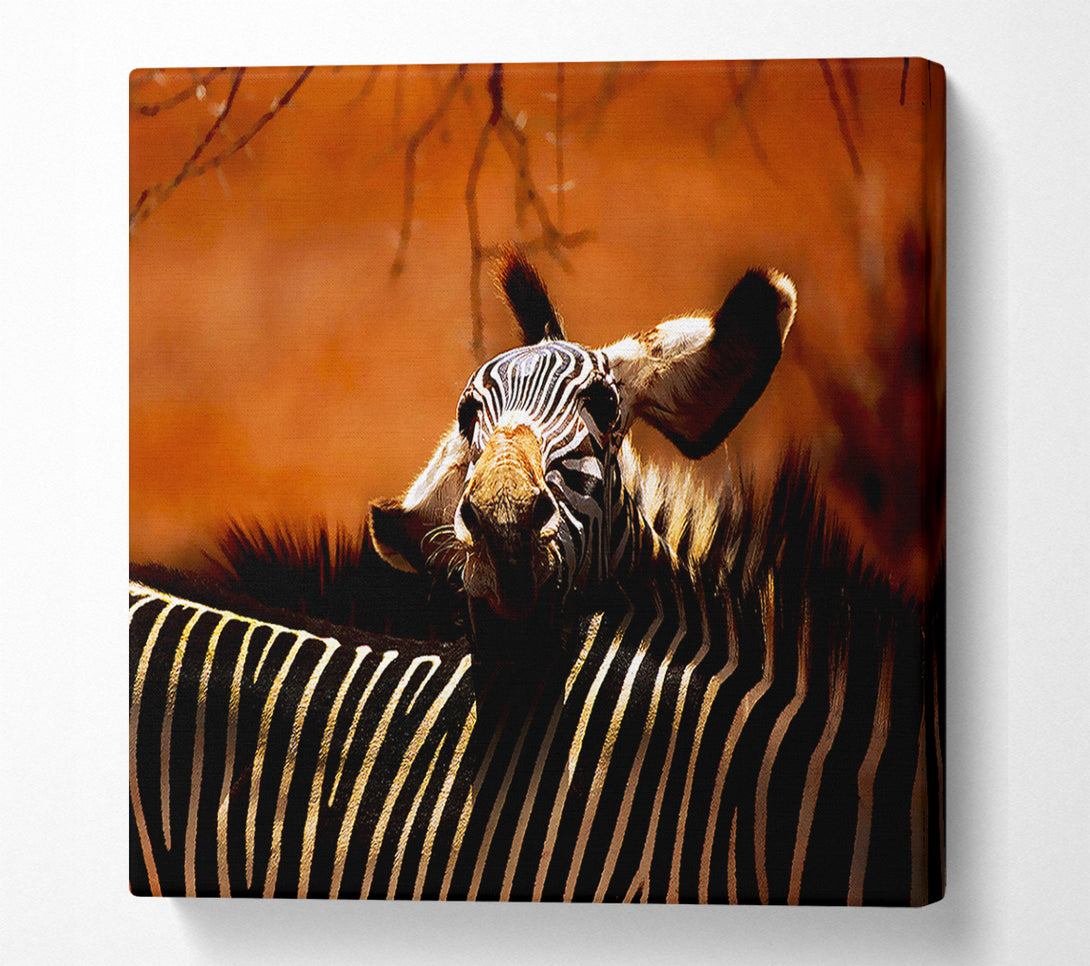  A Canvas Print of Zebra Family Love Canvas Art