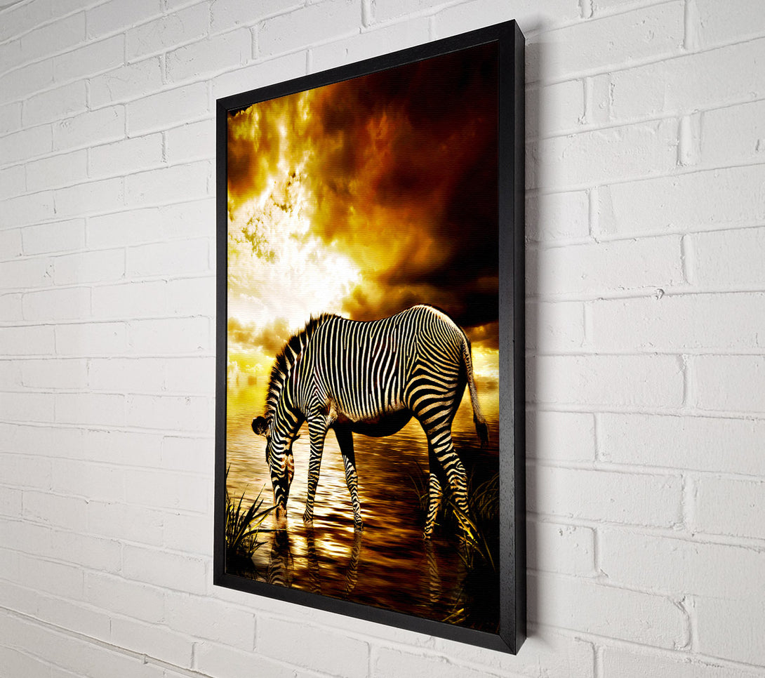  A Canvas Print of Zebra In The Golden River Canvas Wall Art