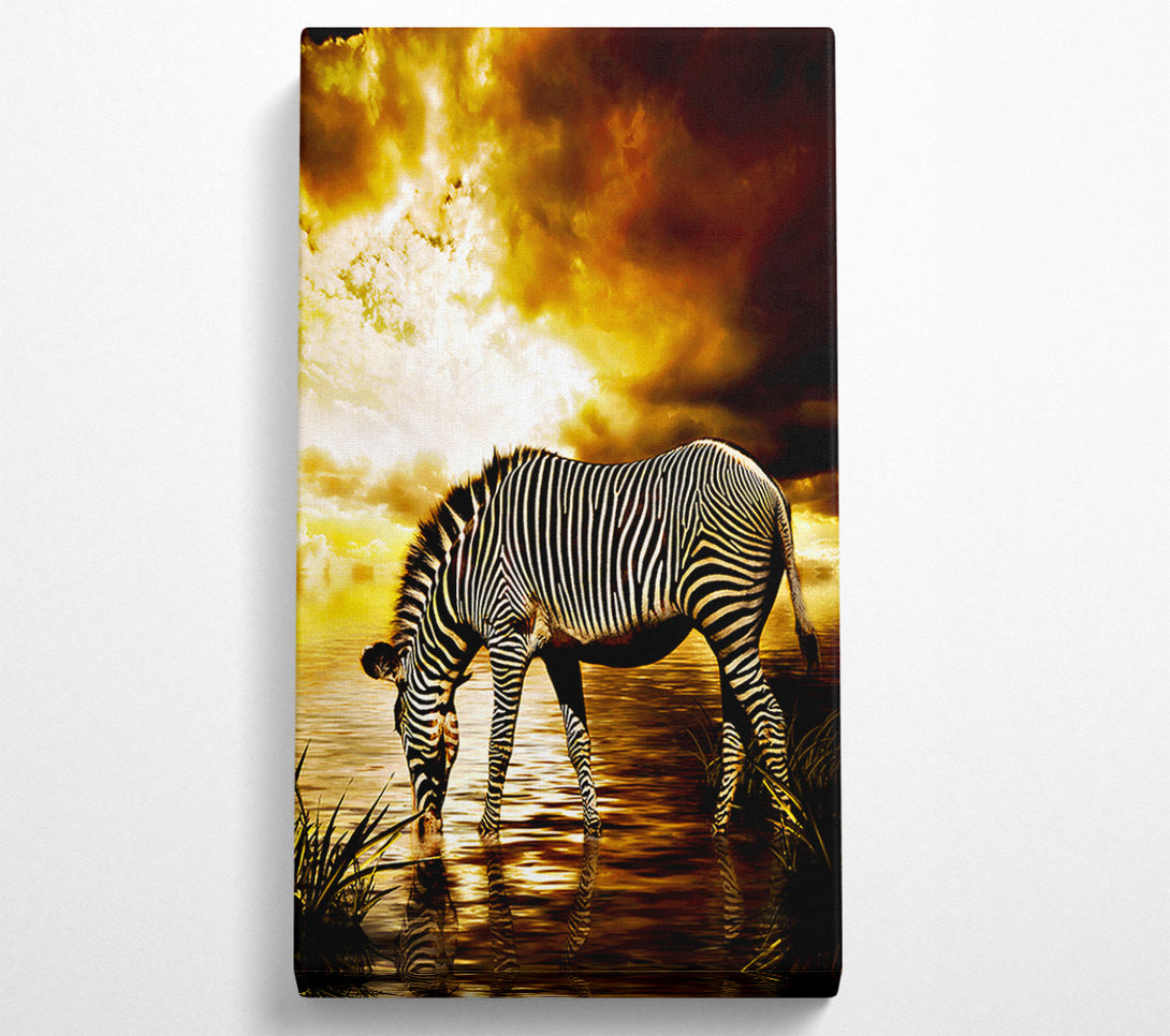  A Canvas Print of Zebra In The Golden River Canvas Wall Art