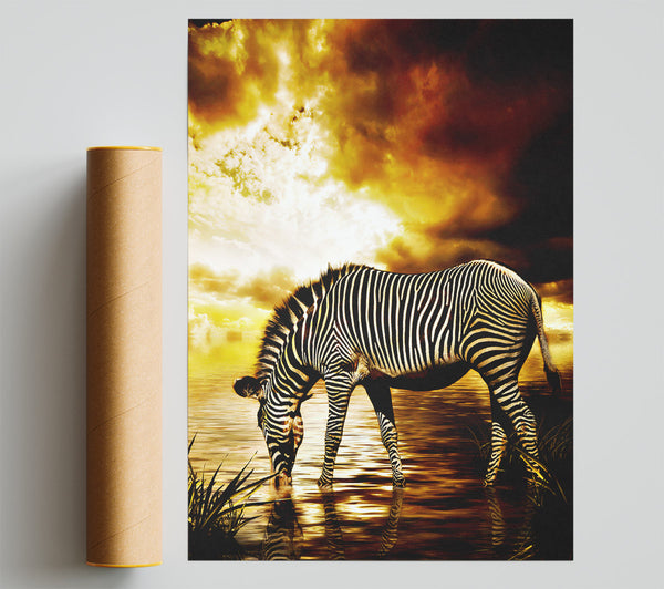 Zebra In The Golden River Giclee Print