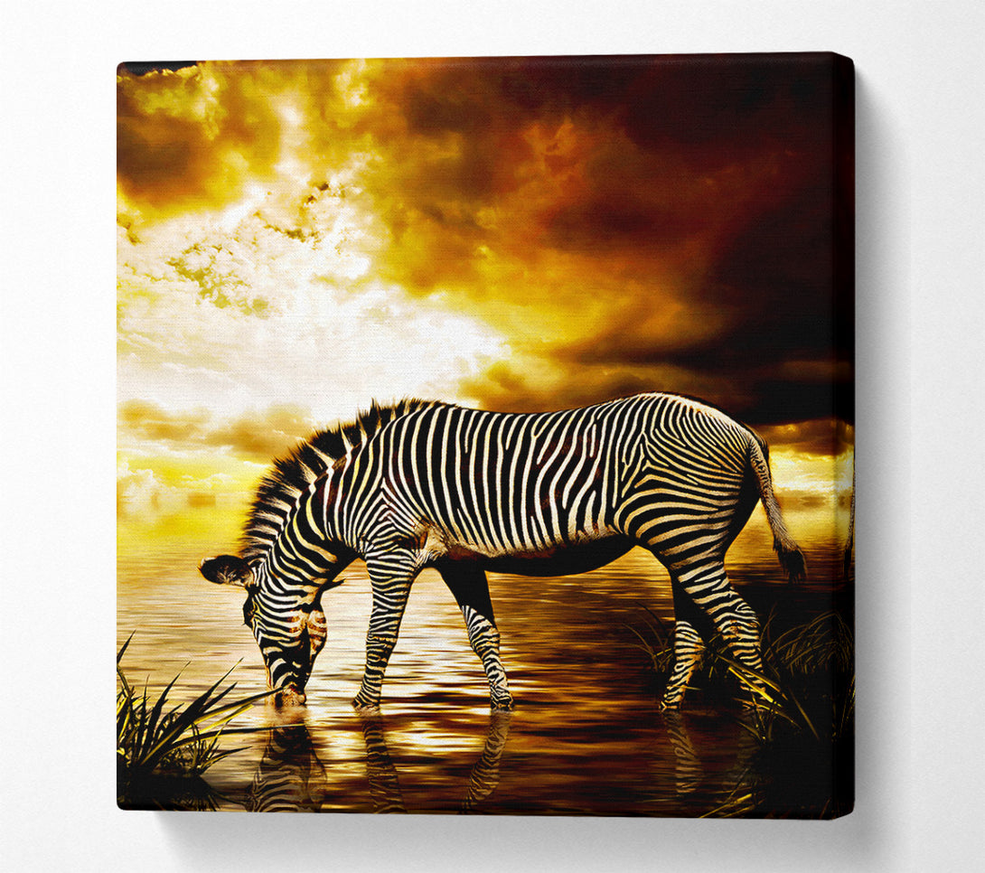  A Canvas Print of Zebra In The Golden River Canvas Wall Art