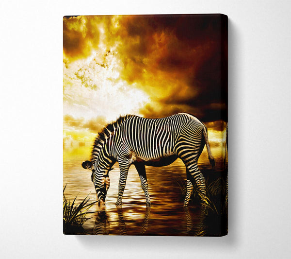  A Canvas Print of Zebra In The Golden River Canvas Wall Art