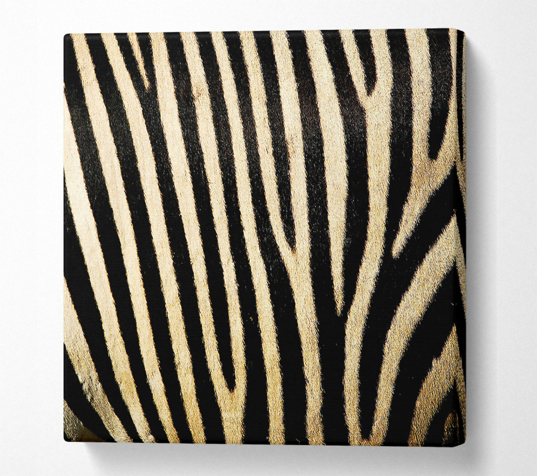  A Canvas Print of Zebra Pattern Canvas Wall Art