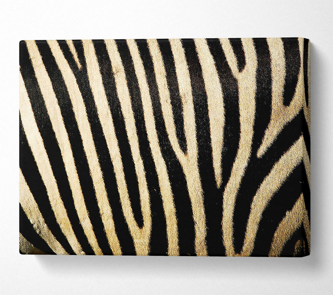  A Canvas Print of Zebra Pattern Canvas Wall Art
