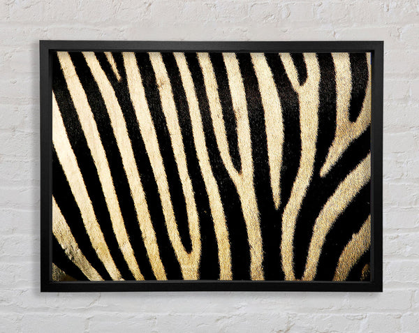 Zebra Pattern Framed Print