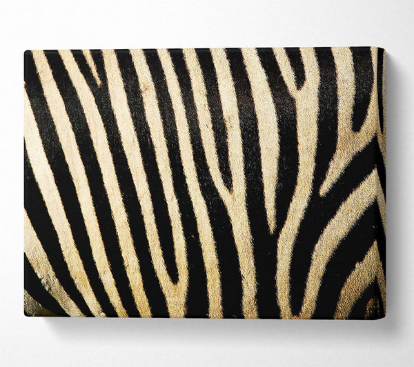  A Canvas Print of Zebra Pattern Canvas Wall Art