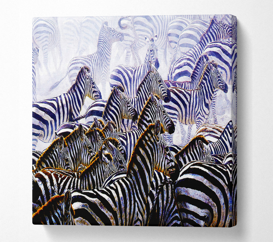  A Canvas Print of Zebra Stampede Canvas Art