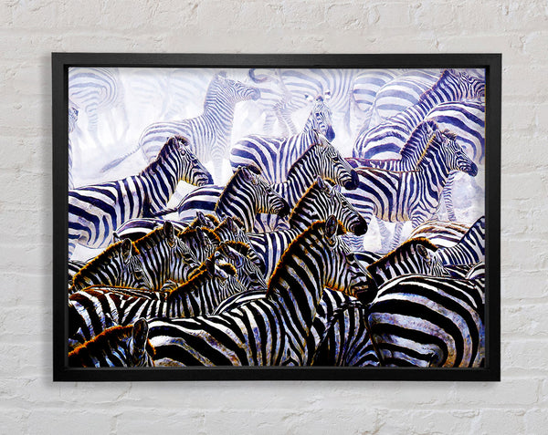 Zebra Stampede Framed Print
