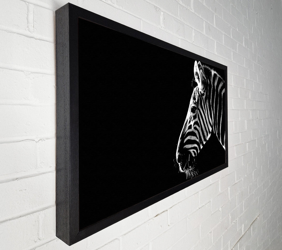  A Canvas Print of Zebra Whiskers Canvas Art
