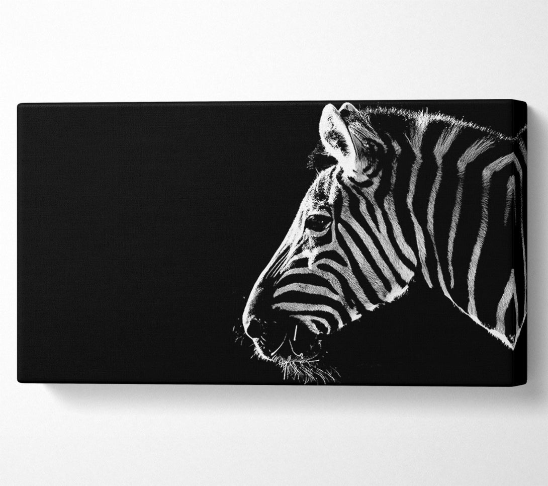  A Canvas Print of Zebra Whiskers Canvas Art