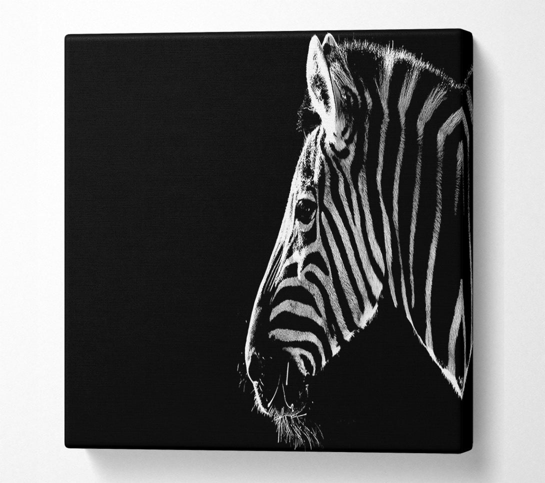  A Canvas Print of Zebra Whiskers Canvas Art