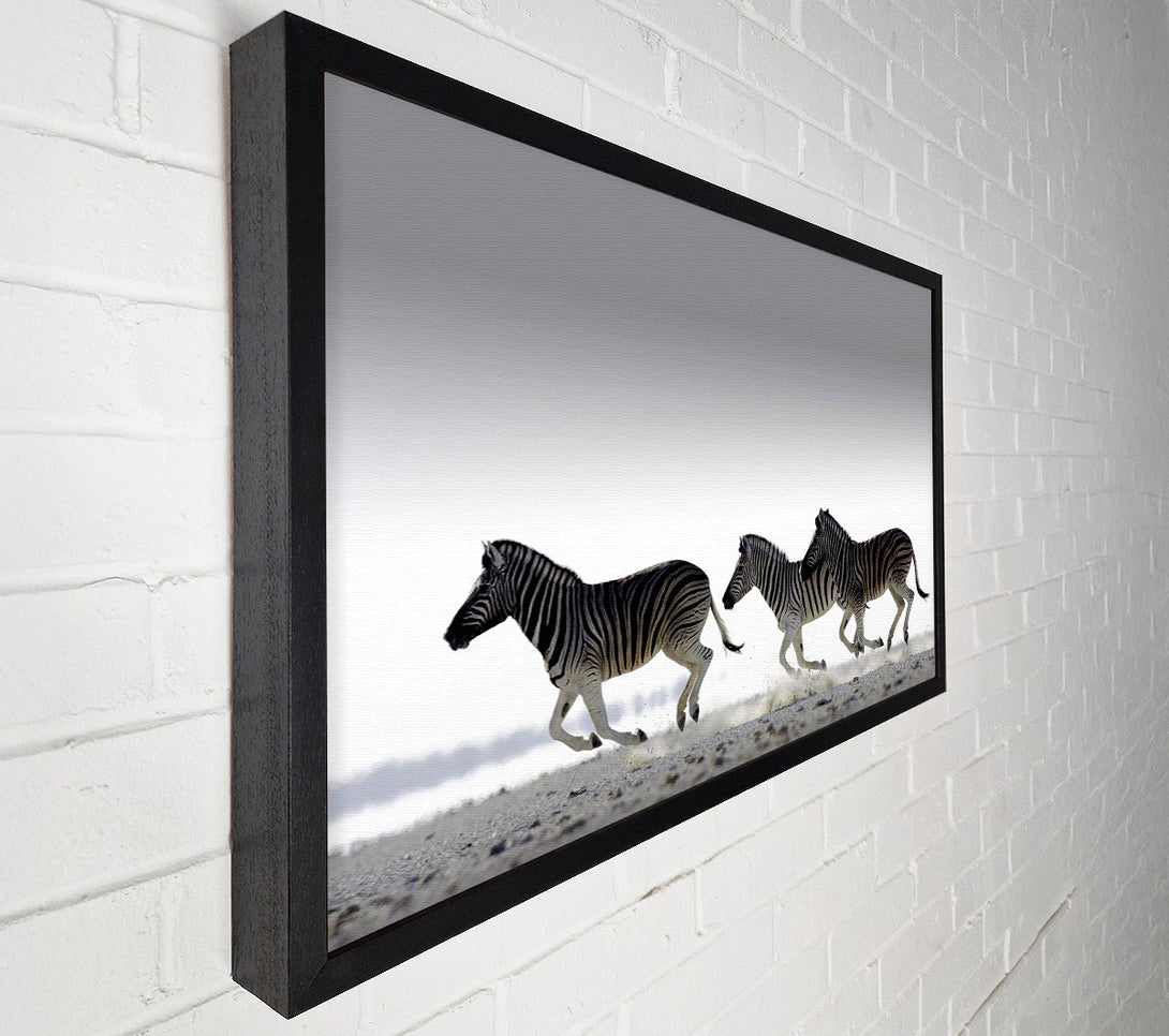  A Canvas Print of Zebras Ocean Running Canvas Art
