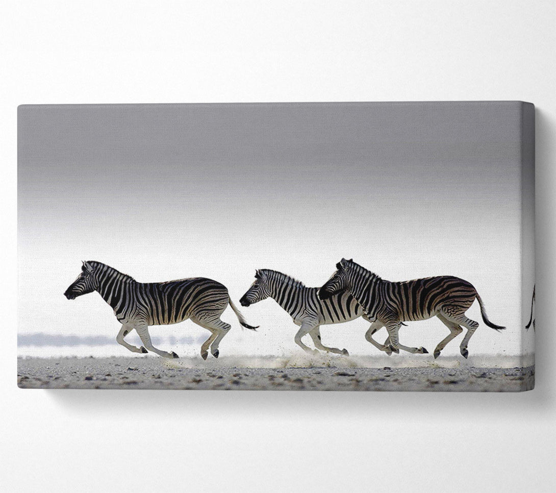 A Canvas Print of Zebras Ocean Running Canvas Art