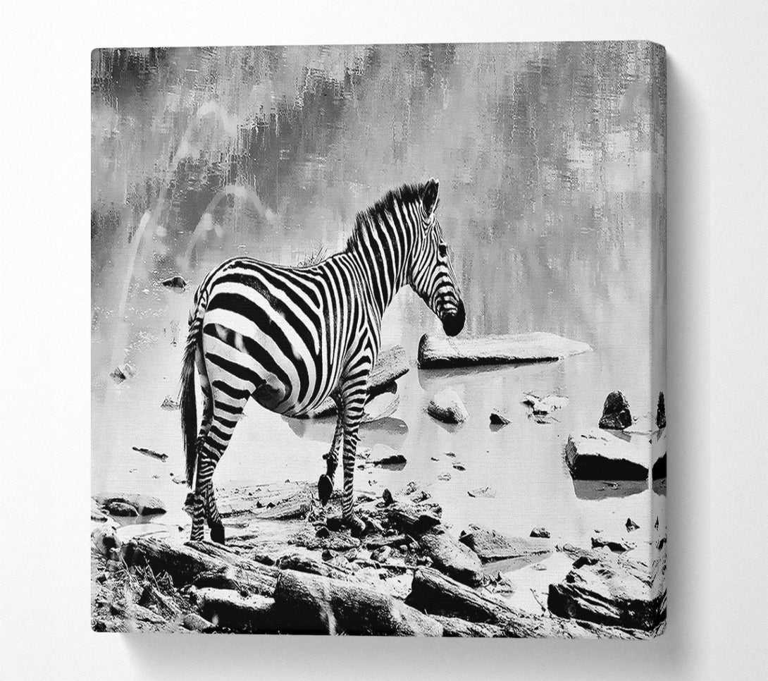  A Canvas Print of Zebras Watering Hole B n W Canvas Wall Art