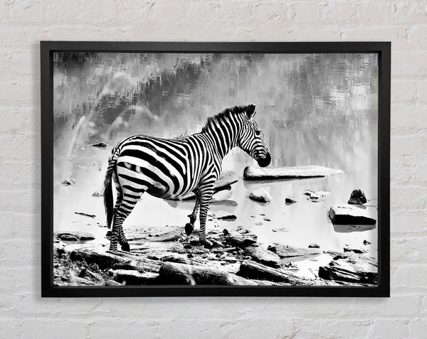 Zebras Watering Hole B n W Framed Print