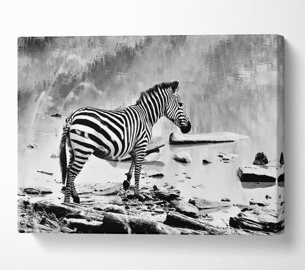  A Canvas Print of Zebras Watering Hole B n W Canvas Wall Art