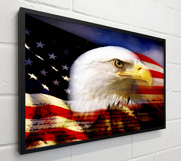 American Eagle Flag