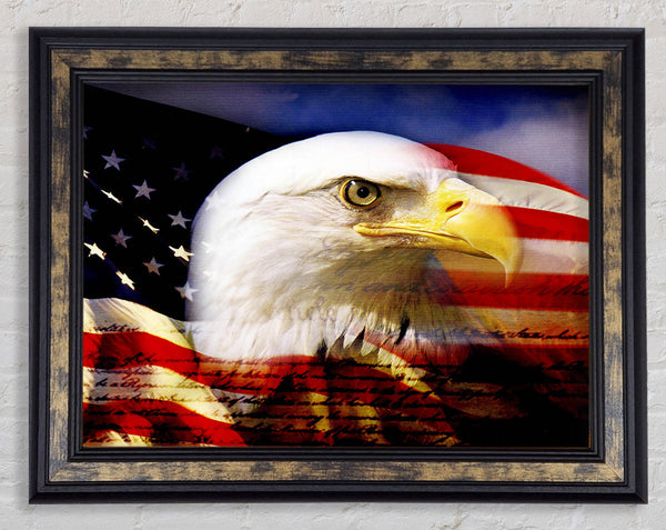 American Eagle Flag Framed Print
