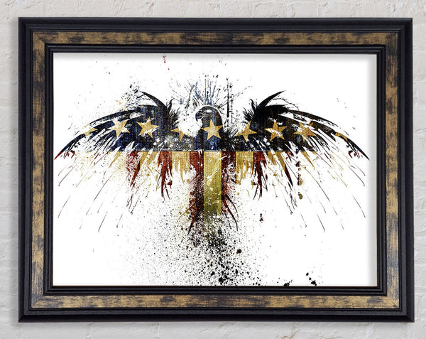 American Eagle 2 Framed Print