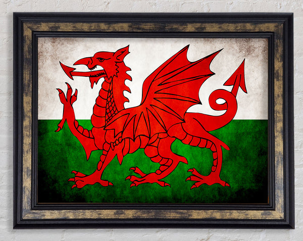 Welsh Dragon Framed Print
