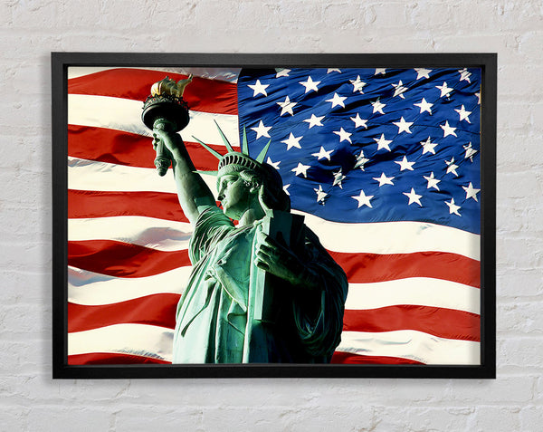 Stars And Stripes With Lady Liberty Framed Print