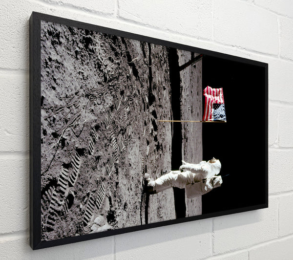 Buzz Salutes The American Flag