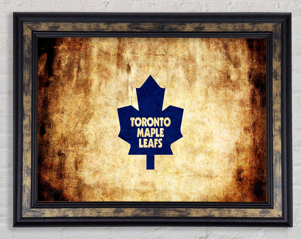 Canada Toronto Maple Leaf Framed Print