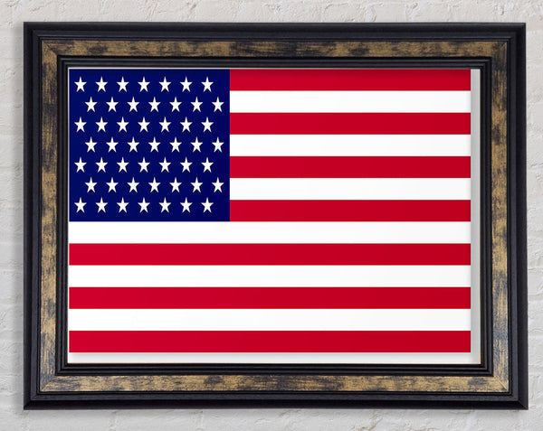 American Star Framed Print