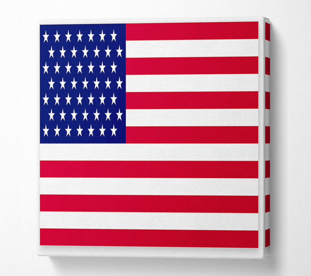  A Canvas Print of American Star Canvas Print