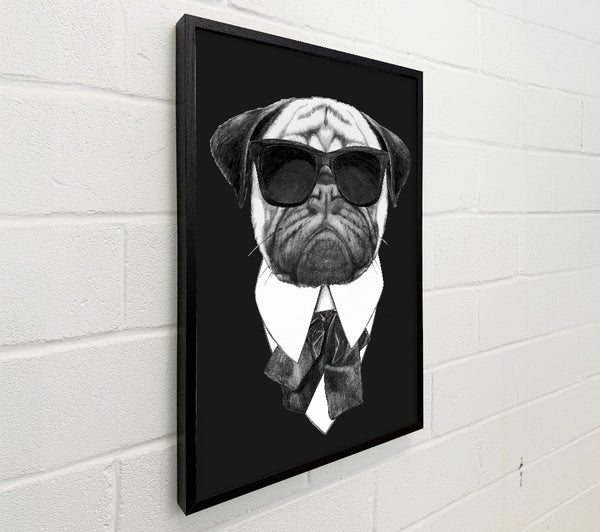 Mafia Pug Dog
