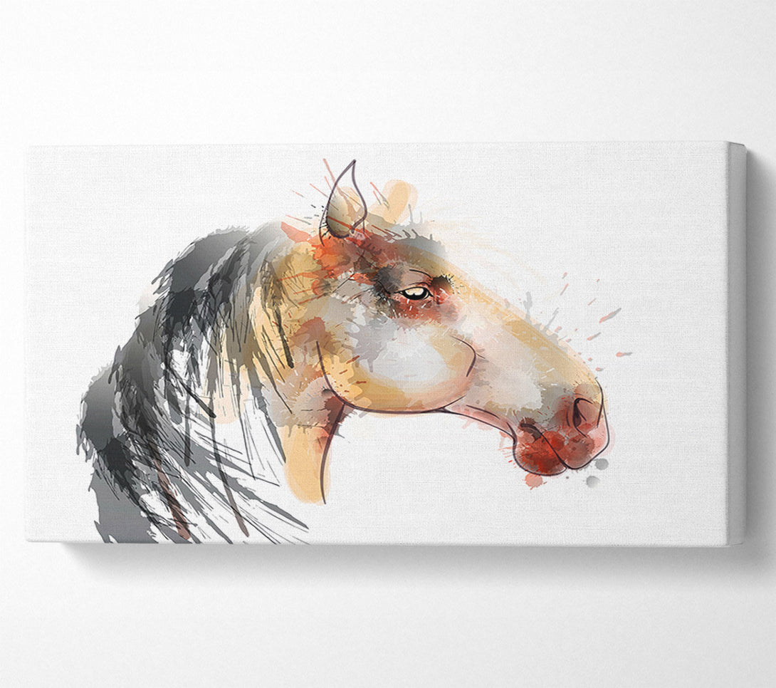  A Canvas Print of Horse Mane Canvas Art