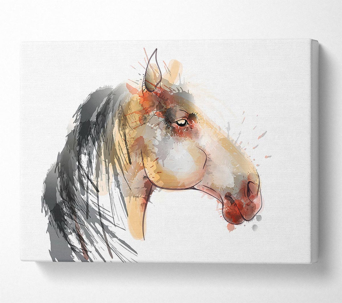  A Canvas Print of Horse Mane Canvas Art