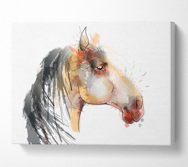  A Canvas Print of Horse Mane Canvas Art