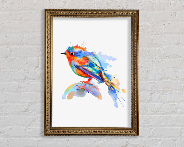 Colourful Robin Framed Print