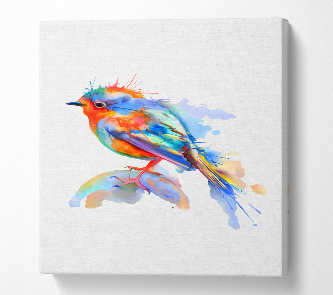  A Canvas Print of Colourful Robin Canvas Print