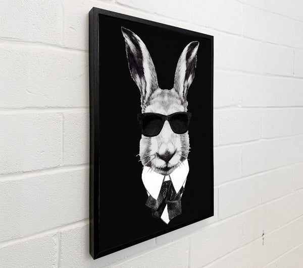 Mafia Rabbit