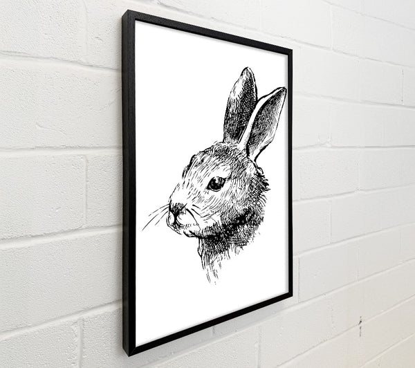 Bunny Portrait