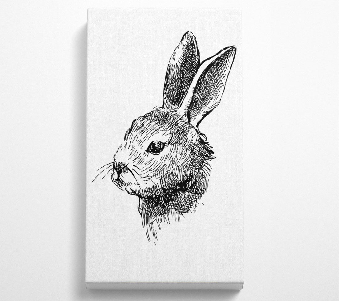  A Canvas Print of Bunny Portrait Canvas Art